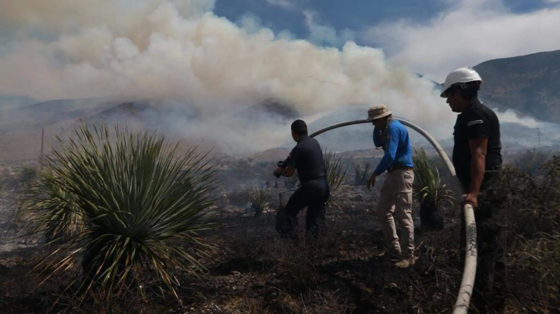 Incendio forestal